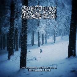 Wandering Eternal in a Dreamlike State